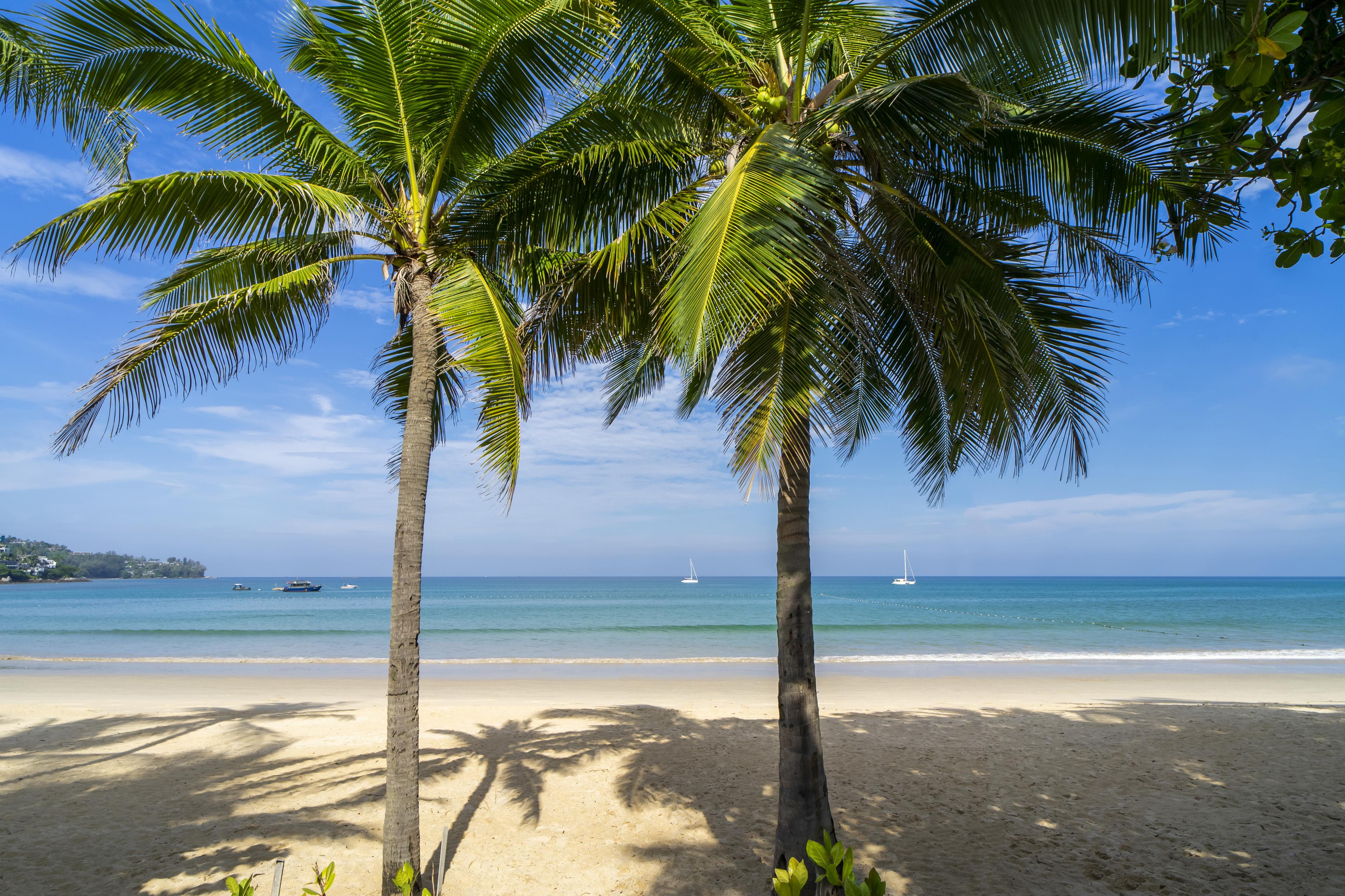 Sunprime Kamala Beach (Adults Only) Exteriér fotografie