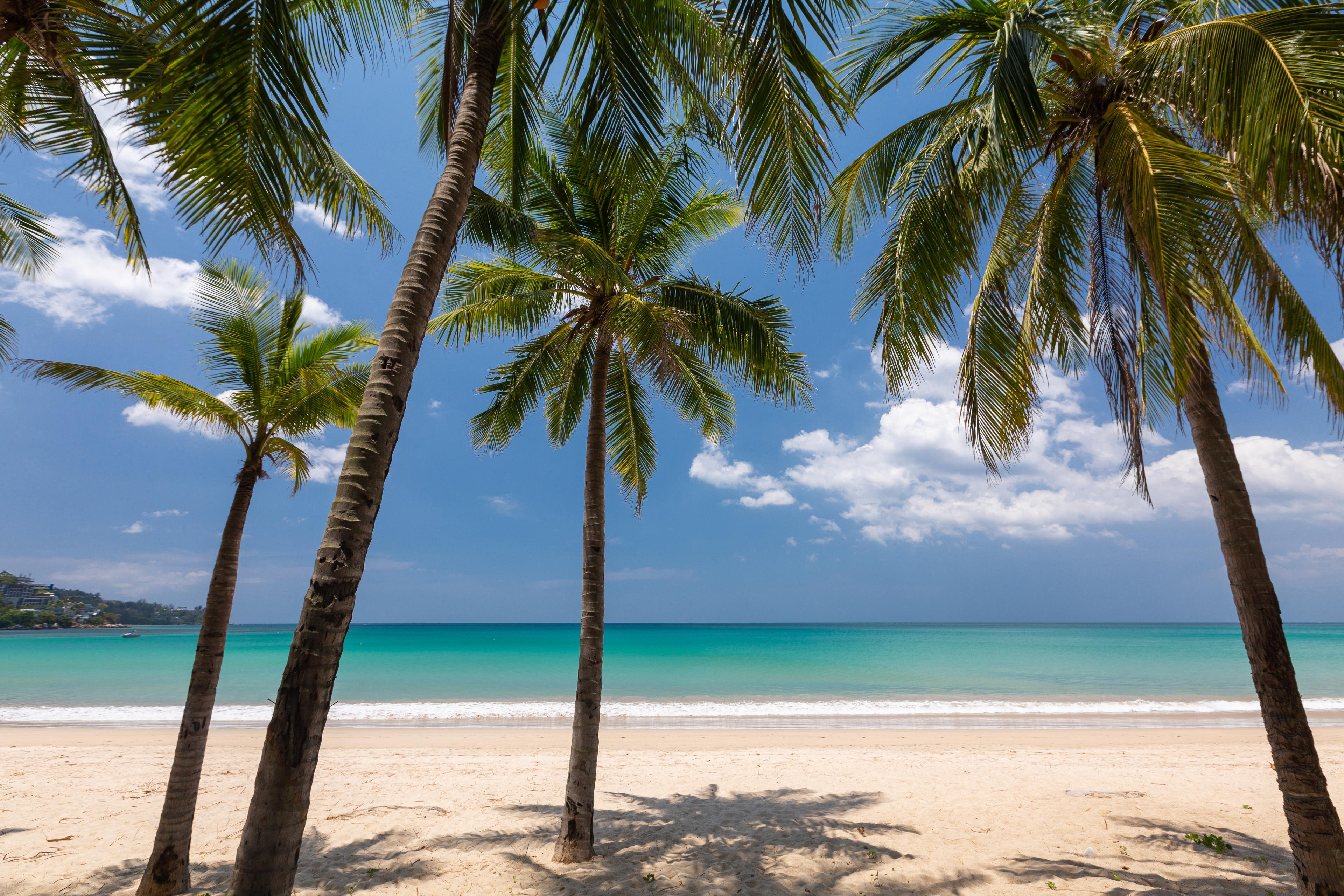 Sunprime Kamala Beach (Adults Only) Exteriér fotografie